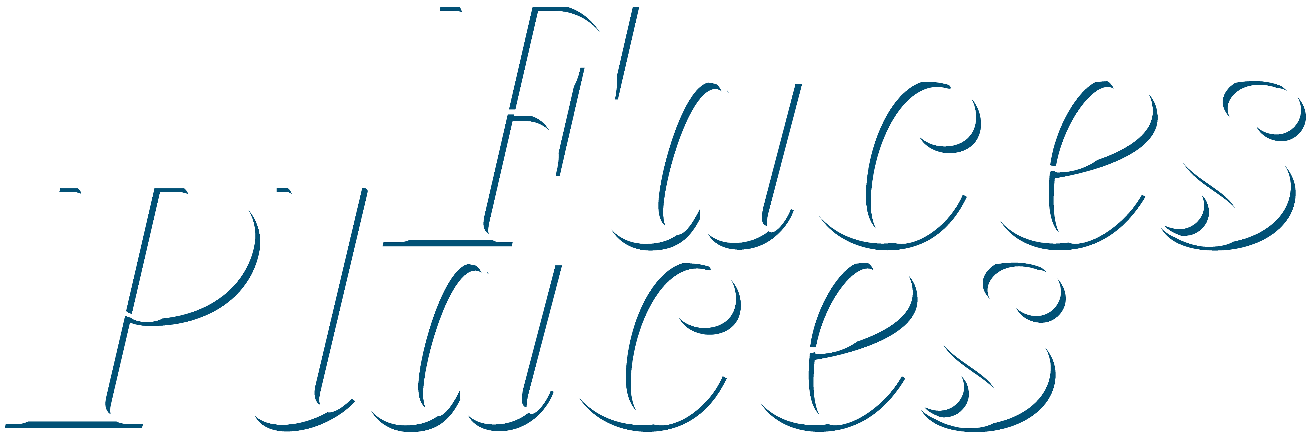 Faces Places icon